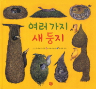 여러가지 새 둥지